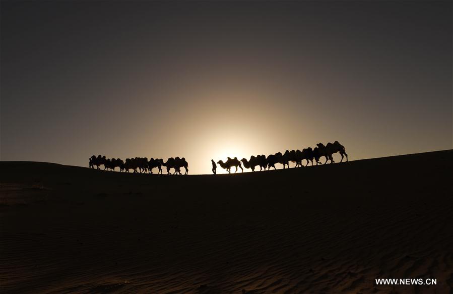 CHINA-INNER MONGOLIA-SCENERY (CN)