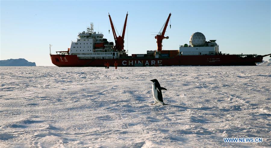 CHINA-XUELONG-ANTARCTIC EXPEDITION-ANIMALS