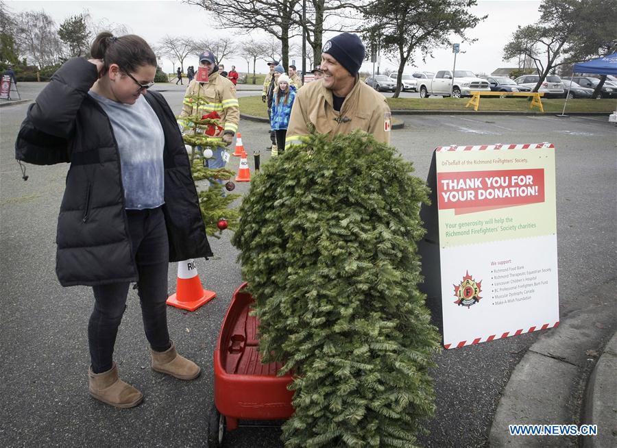 CANADA-RICHMOND-CHRISTMAS TREE-CHIPPING