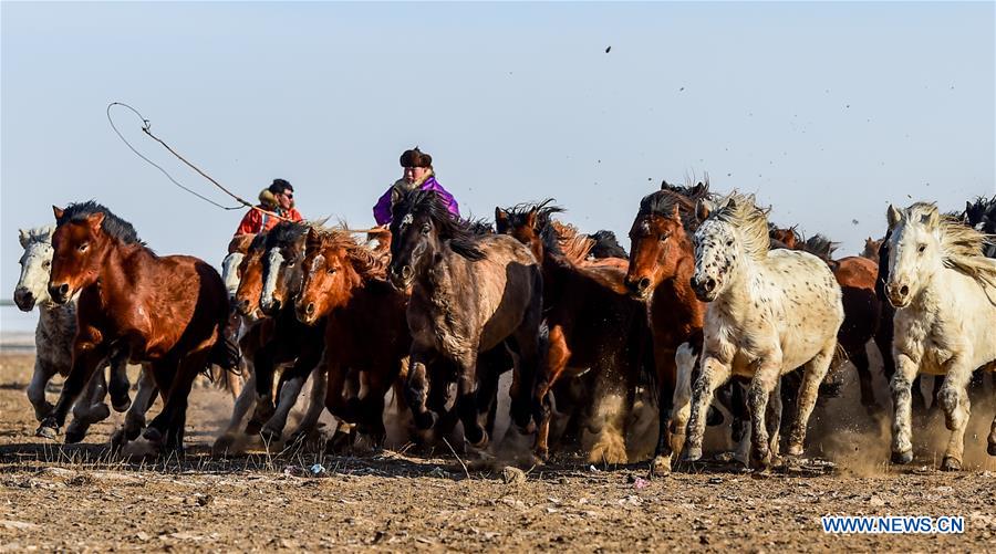 CHINA-INNER MONGOLIA-WINTER NADAM (CN)