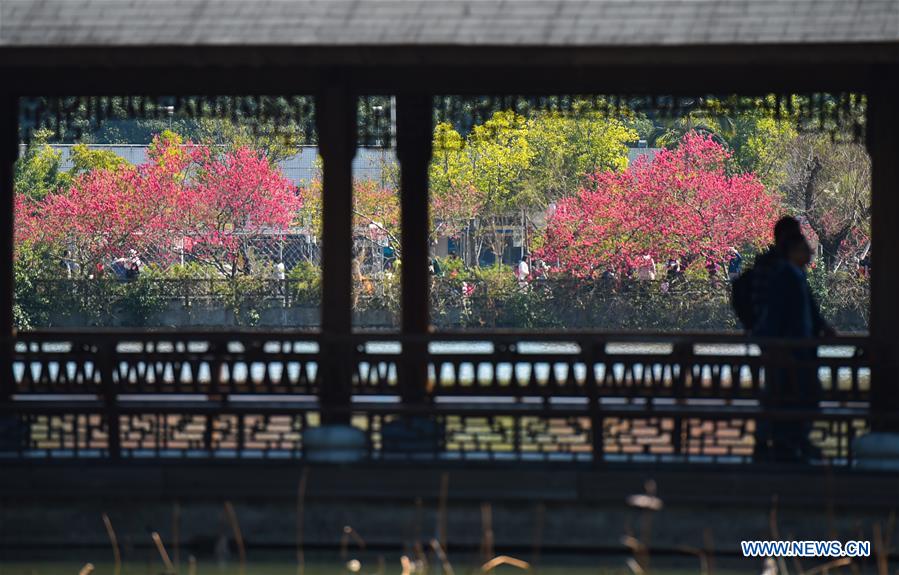 CHINA-FUZHOU-SPRING SCENERY (CN)