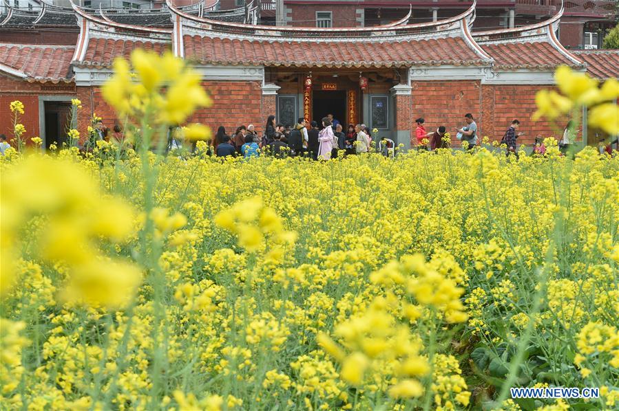 CHINA-FUJIAN-QUANZHOU-COLE FLOWERS (CN)