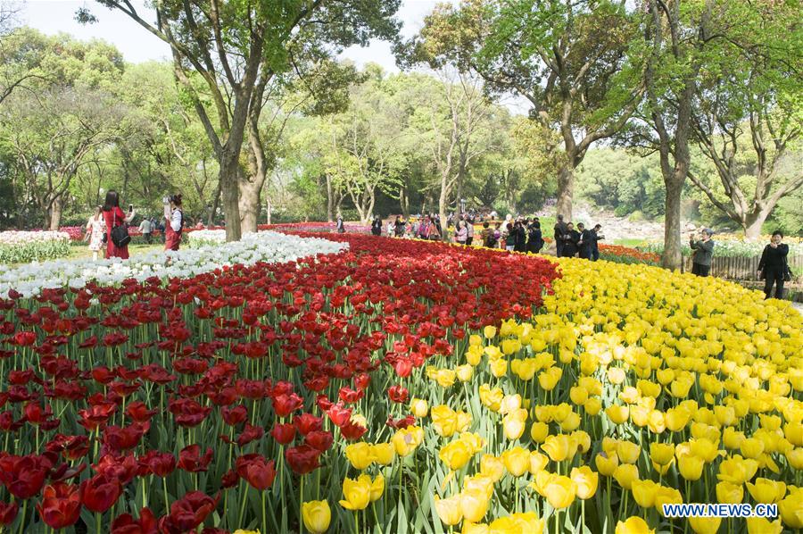 #CHINA-SPRING SCENERY-FLOWERS (CN)