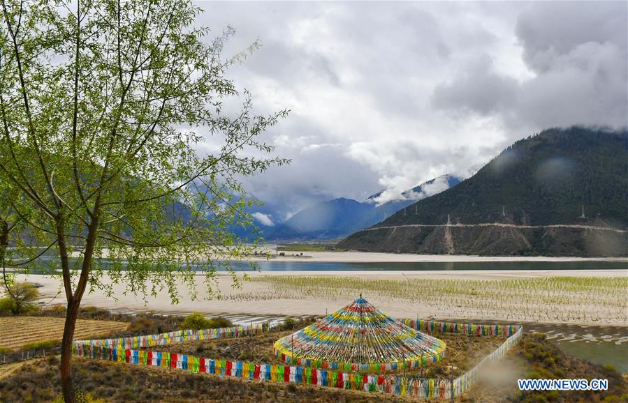 CHINA-TIBET-WETLAND-SCENERY (CN)