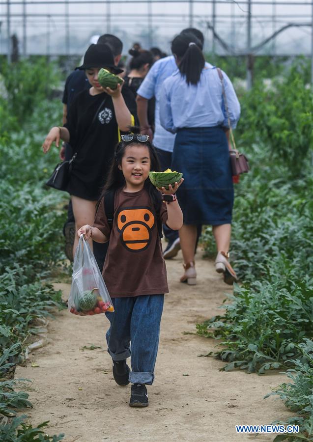 CHINA-ZHEJIANG-CHANGXING-COUNTRYSIDE TOURISM (CN)