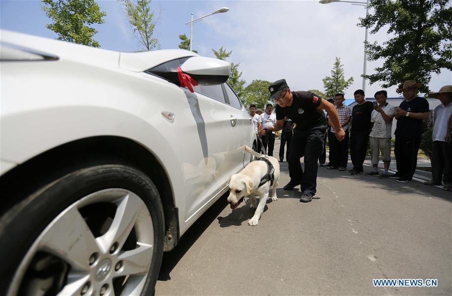 #CHINA-SHANDONG-LINYI-SNIFFER DOG-SHOW (CN) 