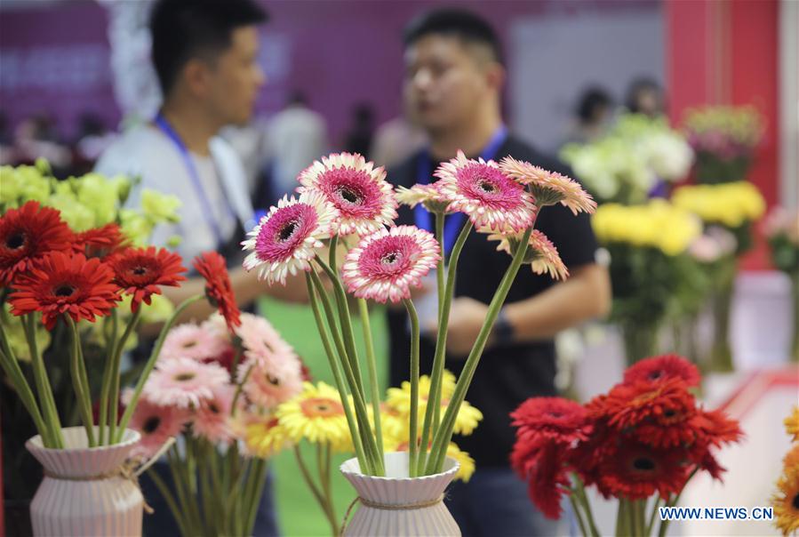 #CHINA-YUNNAN-KUNMING-INT'L FLOWER SHOW (CN)