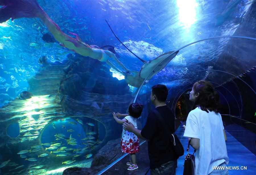 #CHINA-GUIYANG-AQUARIUM (CN)