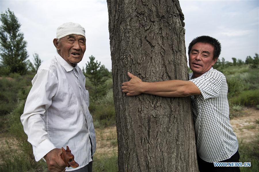 CHINA-SHAANXI-YULIN-MAOWUSU DESERT-FORESTATION (CN)