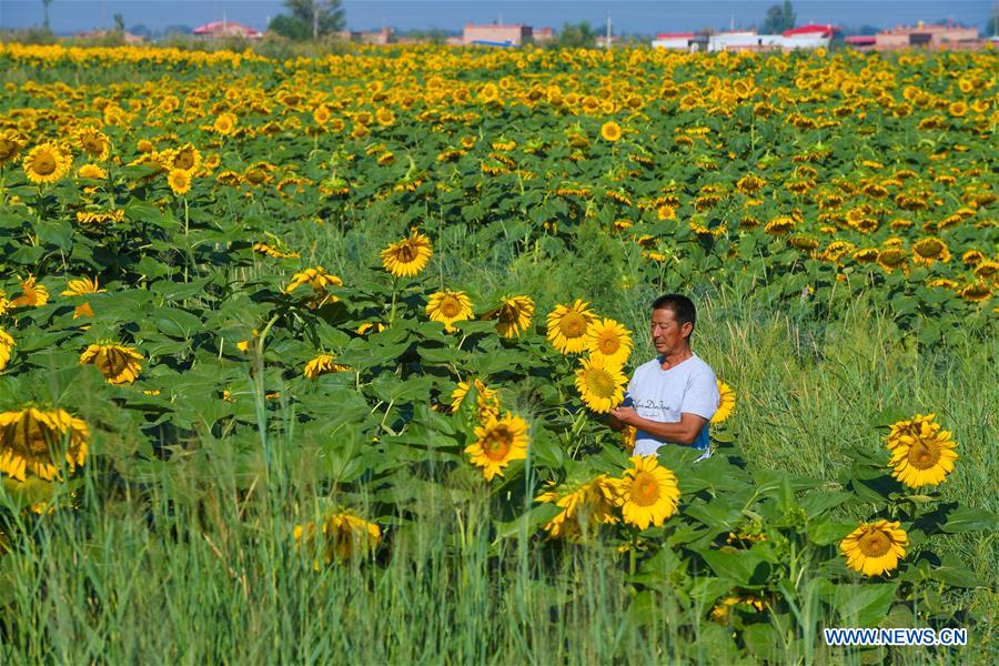 CHINA-INNER MONGOLIA-BAYANNUR-TOURISM (CN)