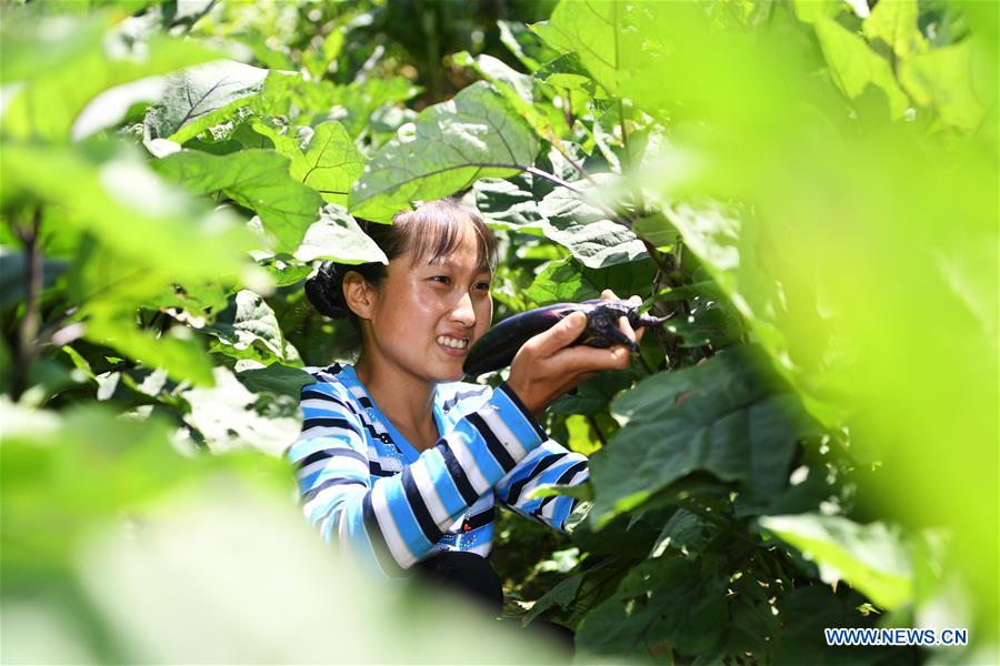 CHINA-CHONGQING-DISABLED FEMALE FARMER (CN)