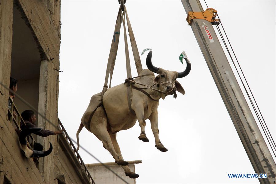 PAKISTAN-KARACHI-EID AL-ADHA-PREPARATION