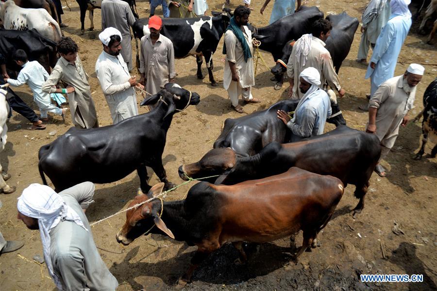 PAKISTAN-PESHAWAR-EID AL-ADHA-MARKET