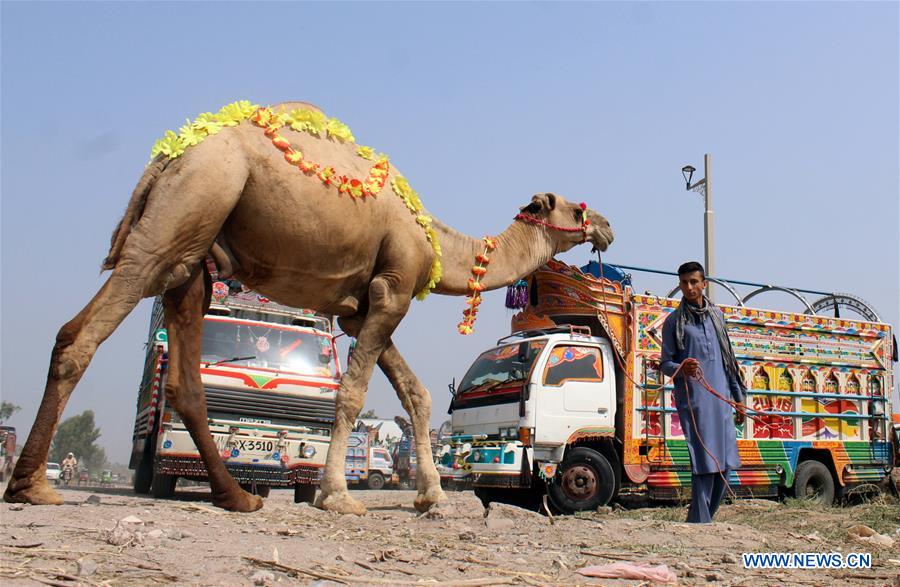 PAKISTAN-PESHAWAR-EID AL-ADHA