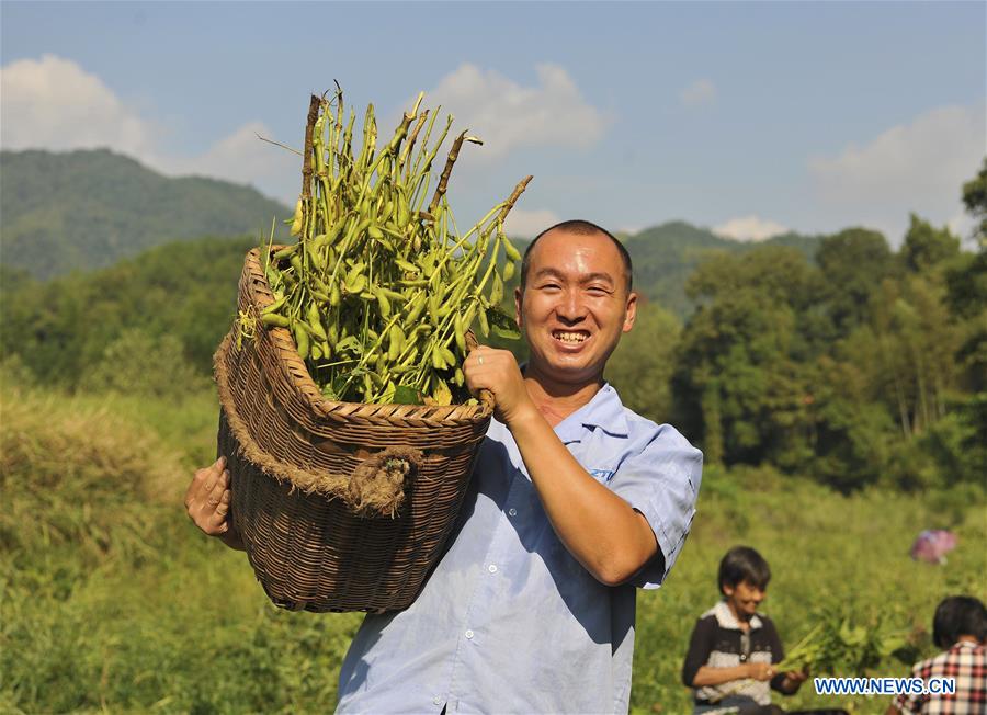 #CHINA-HARVEST (CN)