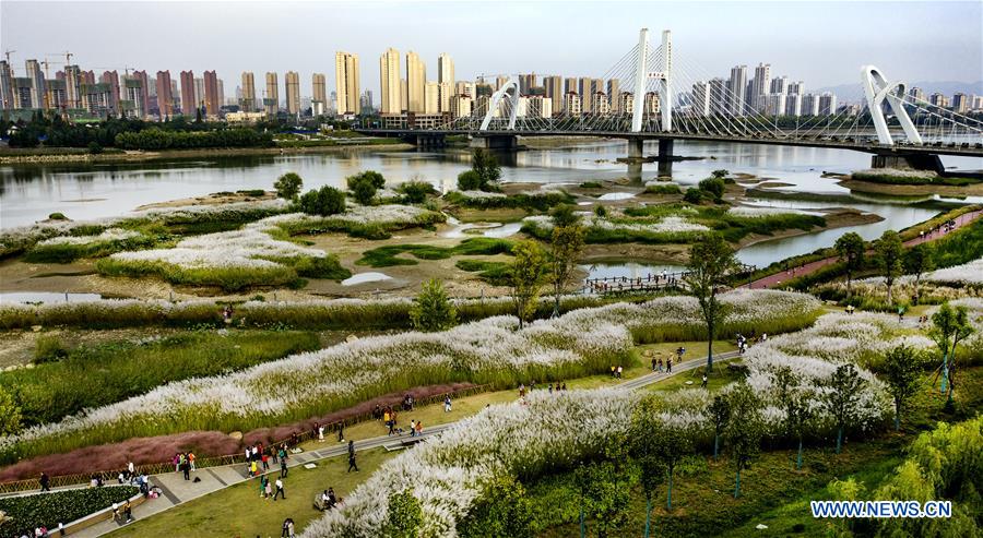 CHINA-SHAANXI-HANJIANG RIVER-WETLAND (CN)