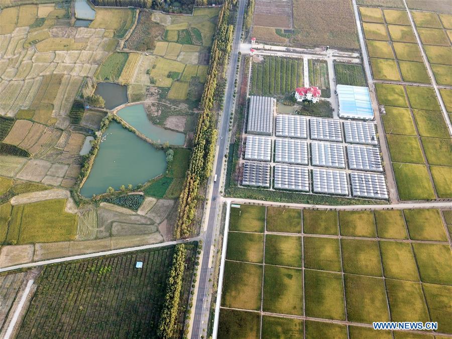 CHINA-ANHUI-XIAOGANG VILLAGE-AERIAL VIEW (CN)