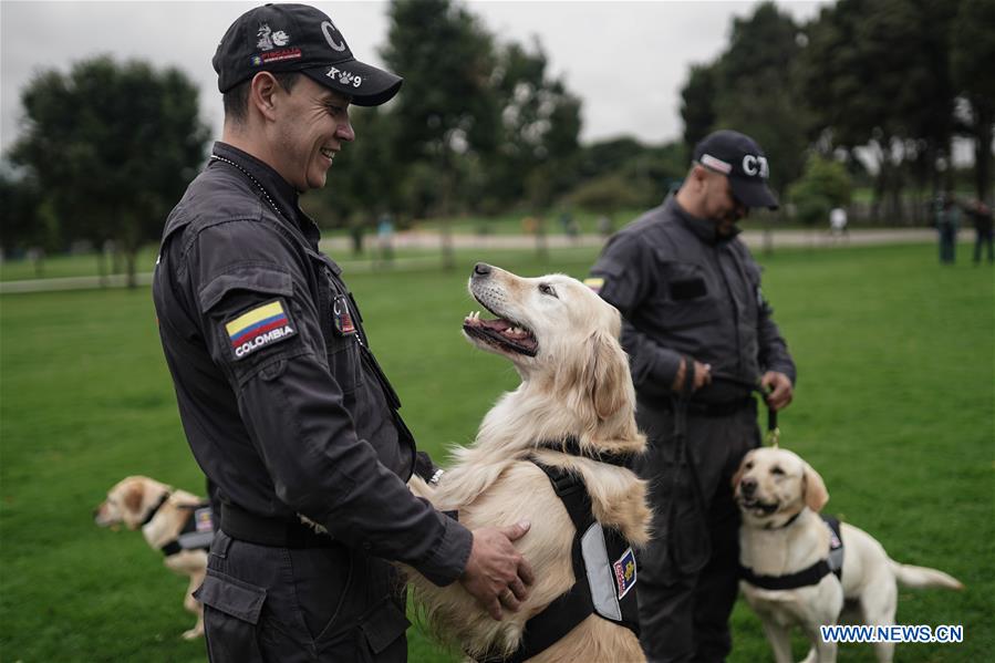 COLOMBIA-BOGOTA-WORLD ANIMAL DAY