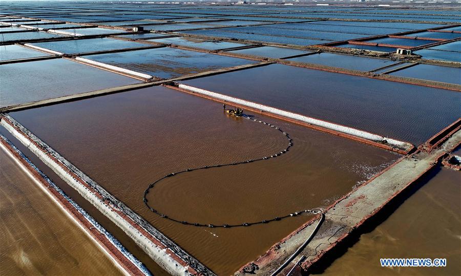 CHINA-TANGSHAN-SEA SALT-HARVEST (CN)