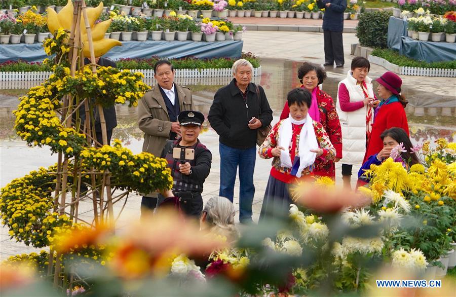 CHINA-JIANGXI-NANCHANG-CHRYSANTHEMUM SHOW (CN)