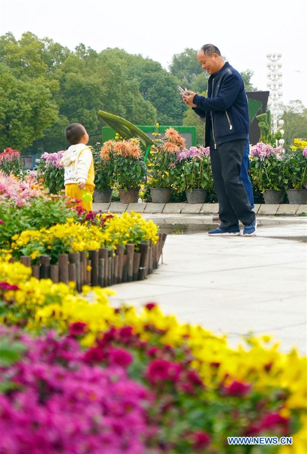 CHINA-JIANGXI-NANCHANG-CHRYSANTHEMUM SHOW (CN)