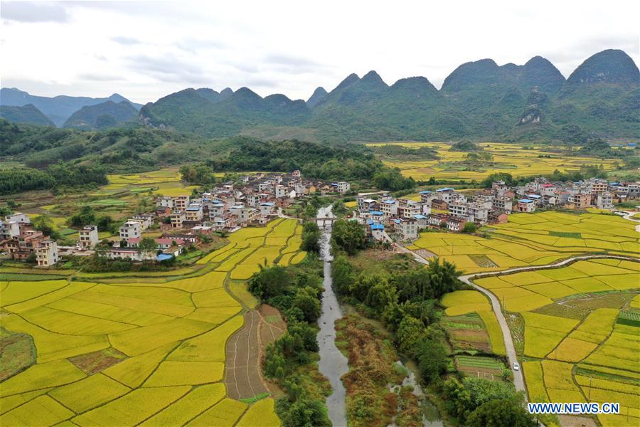 CHINA-GUANGXI-RICE-SCENERY (CN)