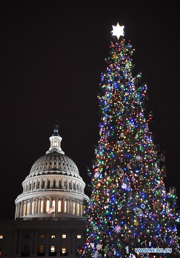 U.S.-WASHINGTON D.C.-CAPITOL CHRISTMAS TREE-LIGHTING