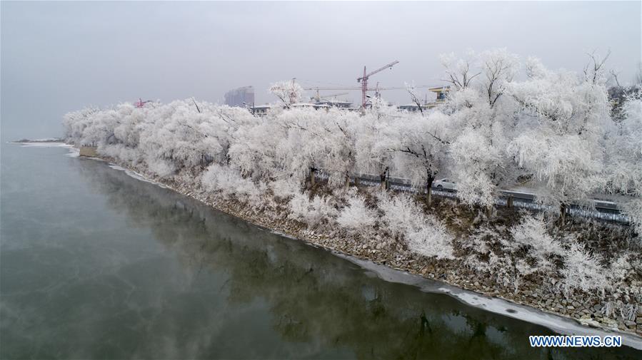 #CHINA-JILIN-FROSTY SCENERY(CN)