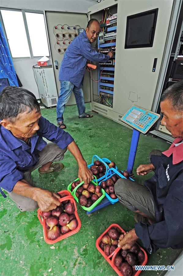 CHINA-ZHEJIANG-RURAL INCOMES (CN)