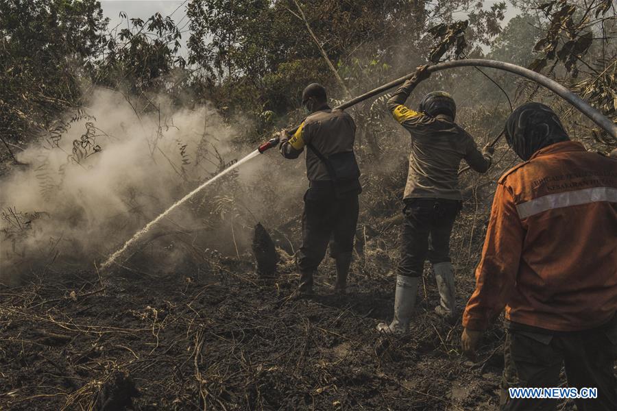 INDONESIA-RIAU-FOREST FIRE