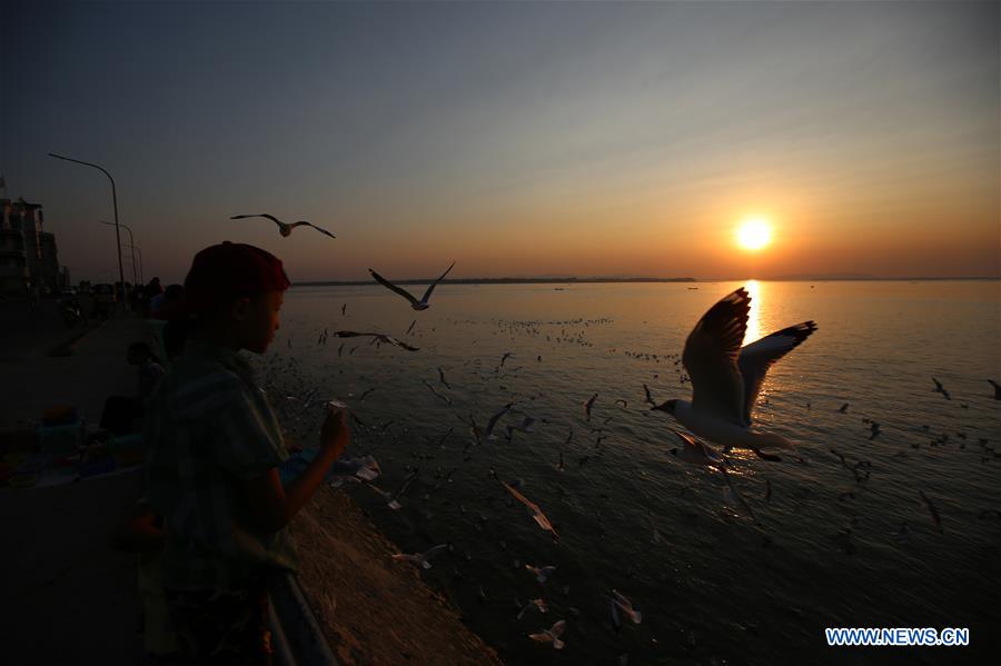 MYANMAR-MAWLAMYINE-GULLS-SUNSET