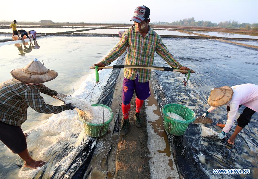 MYANMAR-THANBYUZAYAT-SALT BED