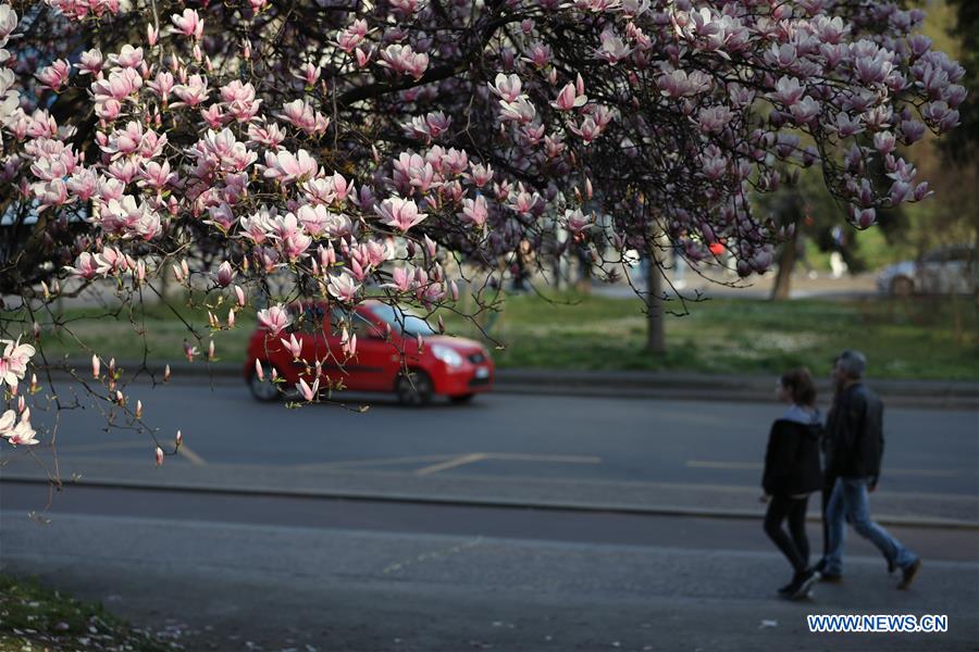 ITALY-SPRING-SCENERY