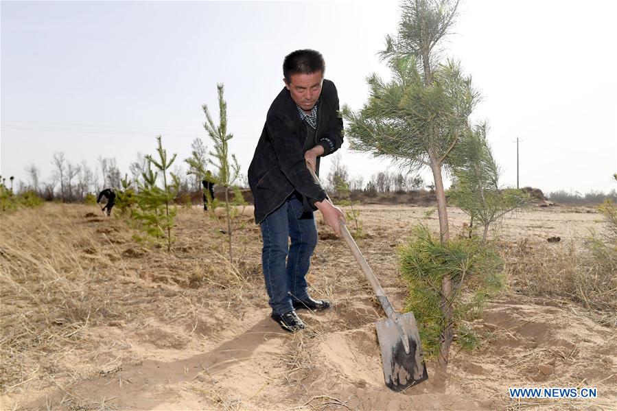 CHINA-SHAANXI-YULIN-AFFORESTATION (CN)