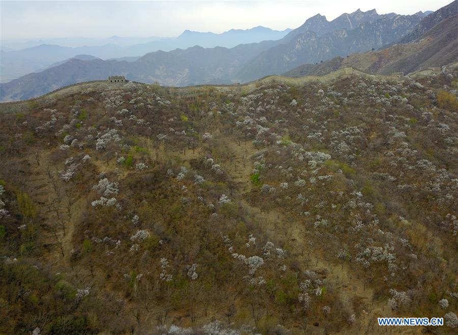 CHINA-BEIJING-GREAT WALL-SCENERY (CN)