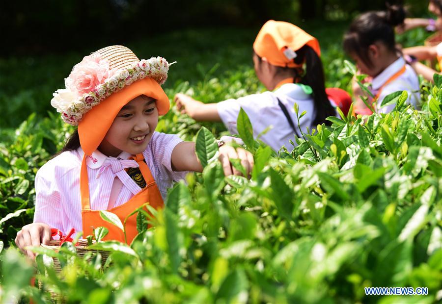 CHINA-CHONGQING-CHILDREN-TEA (CN)