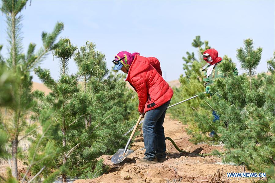 (EXPO 2019)Xinhua Headlines: Xi Focus: Xi leads green development as world's largest horticultural expo opens