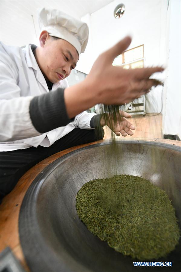 #CHINA-GUIZHOU-FENGGANG-TEA INDUSTRY (CN)