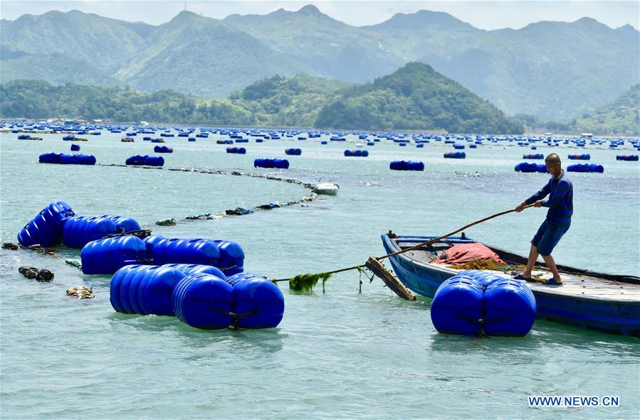 CHINA-FUJIAN-XIAPU-MARICULTURE INDUSTRY (CN)