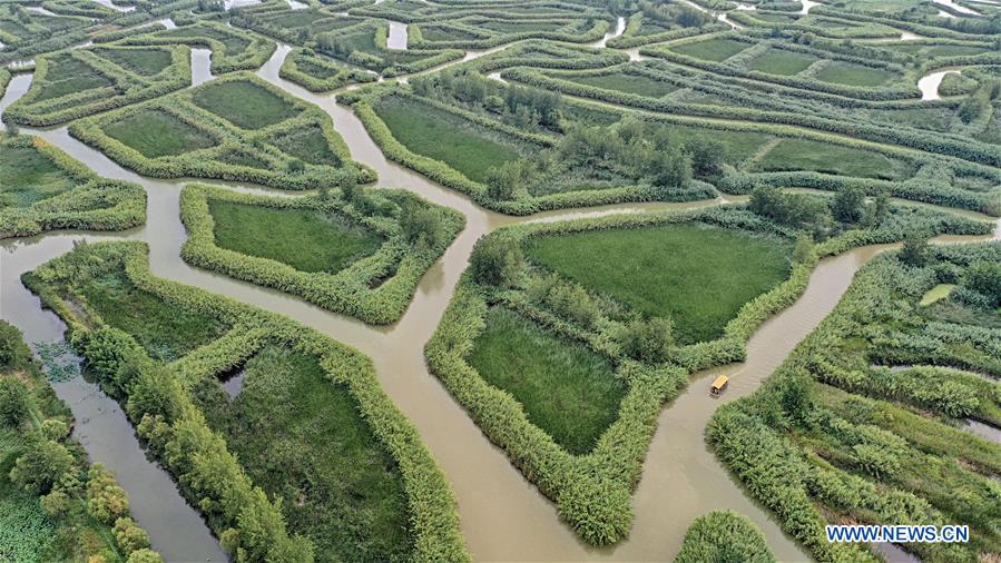 CHINA-JIANGSU-HONGZE LAKE (CN)