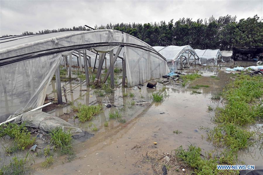 CHINA-SHANDONG-SHOUGUANG-TYPHOON-FLOOD (CN)