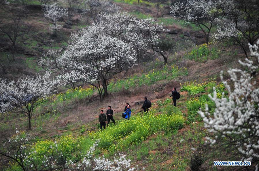 CHINA-GUANGXI-RONGAN-POVERTY ALLEVIATION (CN)