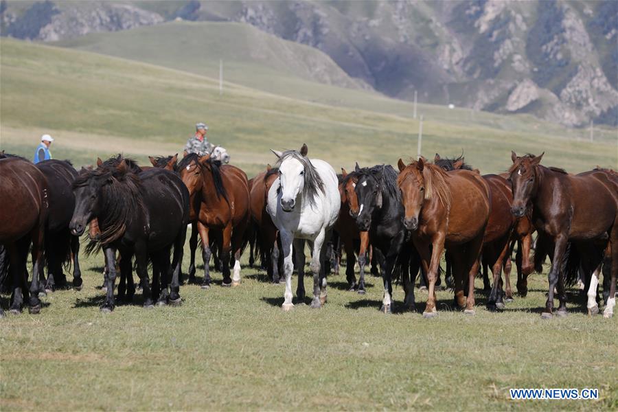 CHINA-GANSU-HORSE RANCH (CN)