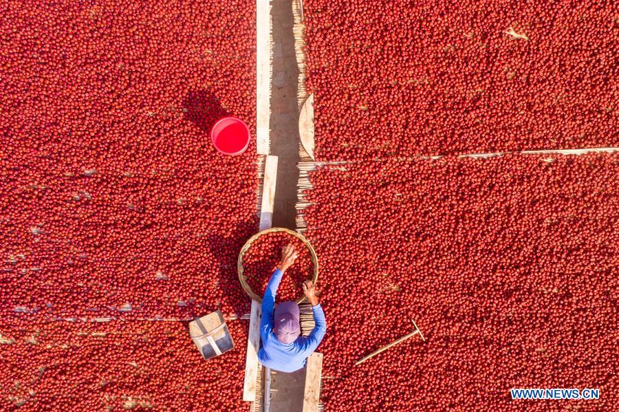 CHINA-HARVEST-AERIAL VIEW (CN)