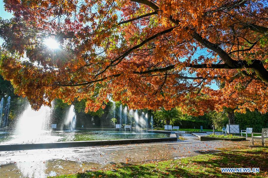 GERMANY-AUTUMN-SCENERY