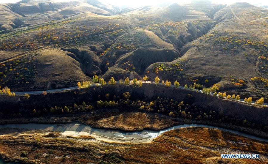 CHINA-INNER MONGOLIA-HORINGER-AUTUMN SCENERY (CN)