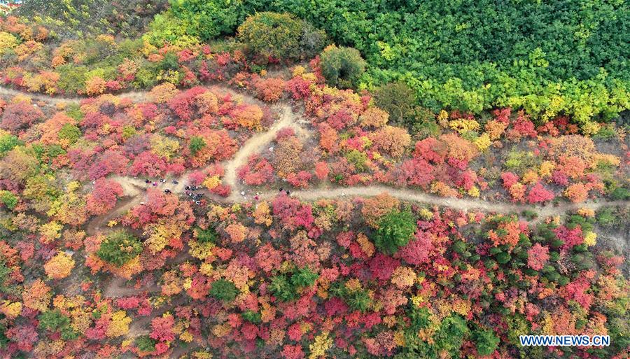 CHINA-HEBEI-JINGXING-XIANTAI MOUNTAIN-SCENERY (CN)