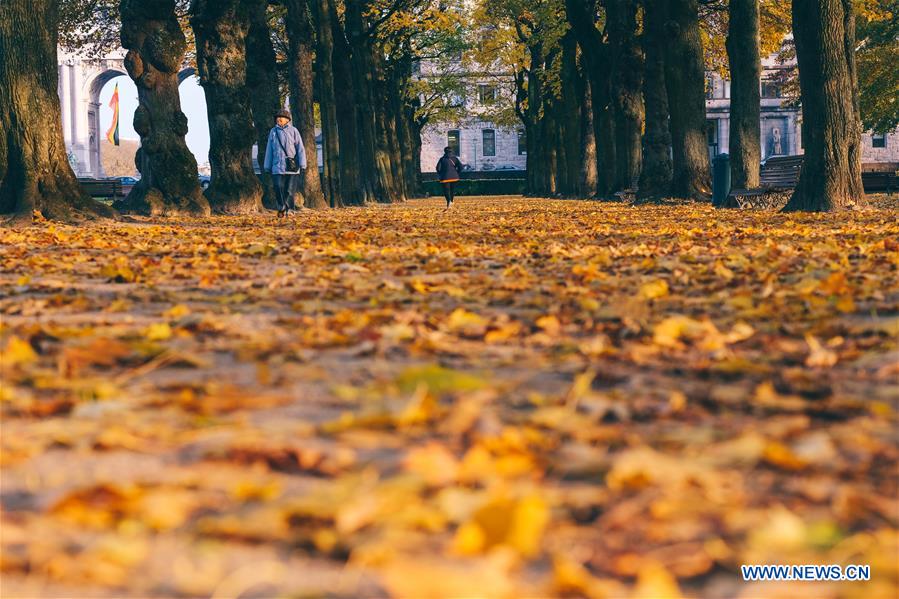 BELGIUM-BRUSSELS-AUTUMN SCENERY