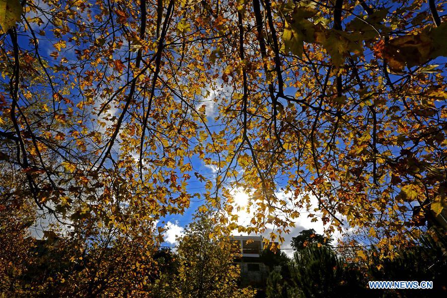 LEBANON-SAWFAR-AUTUMN SCENERY