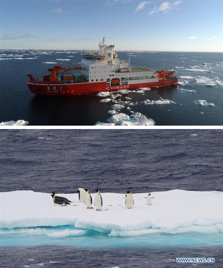 (EyesonSci)CHINA-XUELONG 2-ANTARCTIC EXPEDITION-SOUTHERN OCEAN-ANIMALS